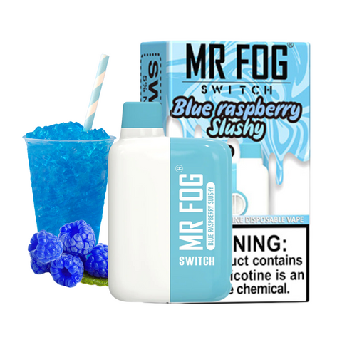 MR FOG Vape Switch 5500 Puffs Blue Raspberry Slushy