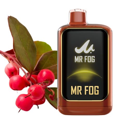 MR FOG Nova Vape - Wintergreen