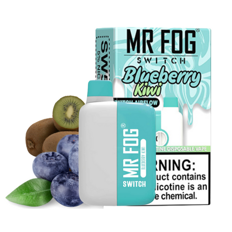 MR FOG Vape Switch 5500 Puffs Blueberry Kiwi